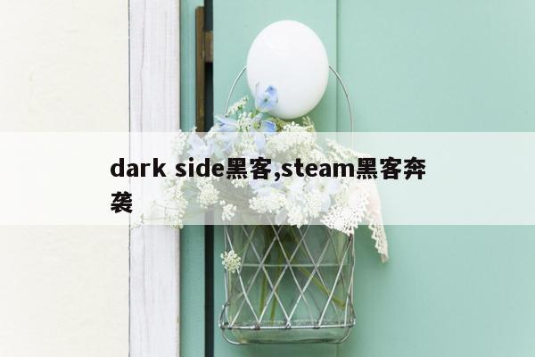 dark side黑客,steam黑客奔袭