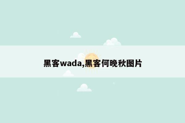 黑客wada,黑客何晚秋图片