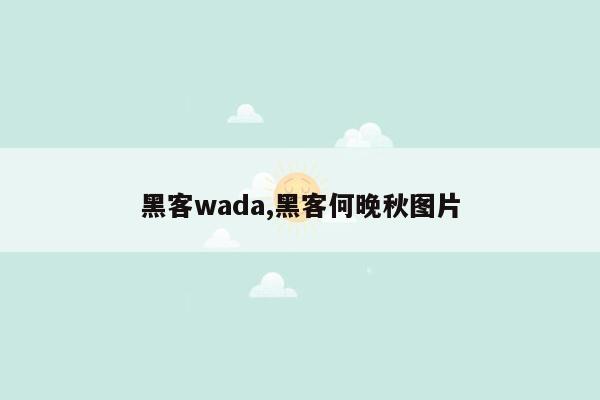 黑客wada,黑客何晚秋图片