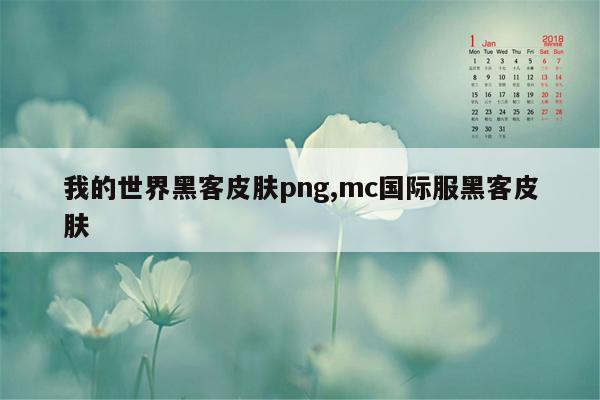 我的世界黑客皮肤png,mc国际服黑客皮肤