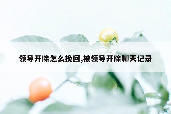 领导开除怎么挽回,被领导开除聊天记录