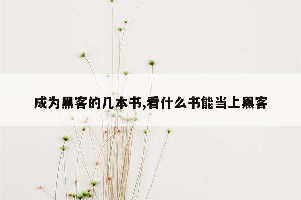 成为黑客的几本书,看什么书能当上黑客