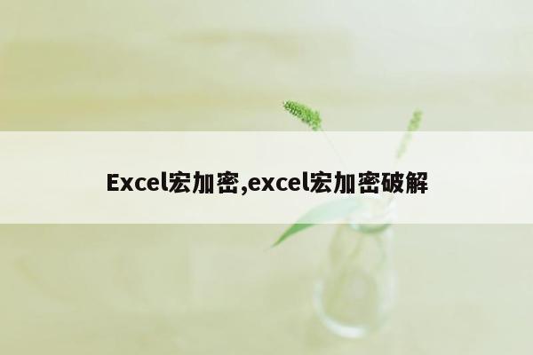 Excel宏加密,excel宏加密破解