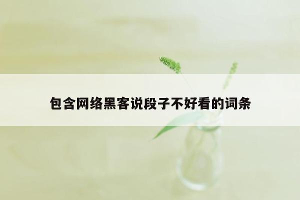 包含网络黑客说段子不好看的词条