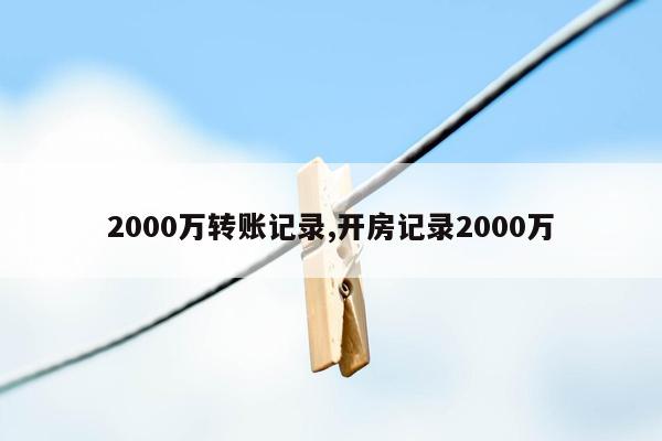 2000万转账记录,开房记录2000万