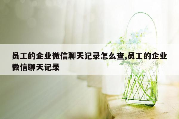 员工的企业微信聊天记录怎么查,员工的企业微信聊天记录