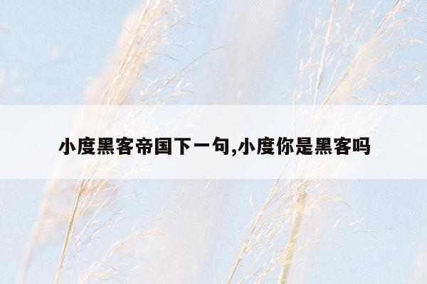 小度黑客帝国下一句,小度你是黑客吗