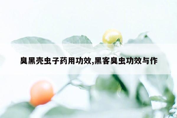 臭黑壳虫子药用功效,黑客臭虫功效与作