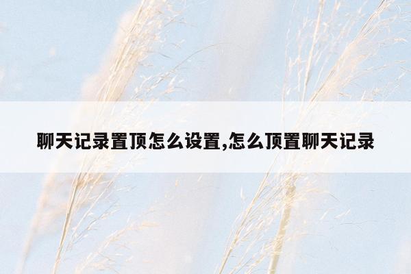 聊天记录置顶怎么设置,怎么顶置聊天记录
