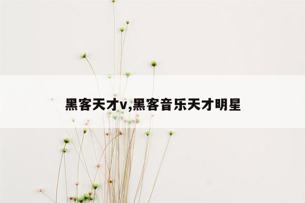 黑客天才v,黑客音乐天才明星