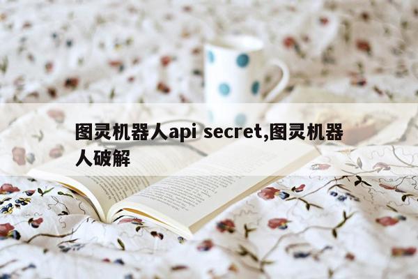 图灵机器人api secret,图灵机器人破解