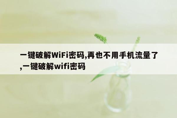 一键破解WiFi密码,再也不用手机流量了,一键破解wifi密码