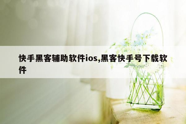 快手黑客辅助软件ios,黑客快手号下载软件