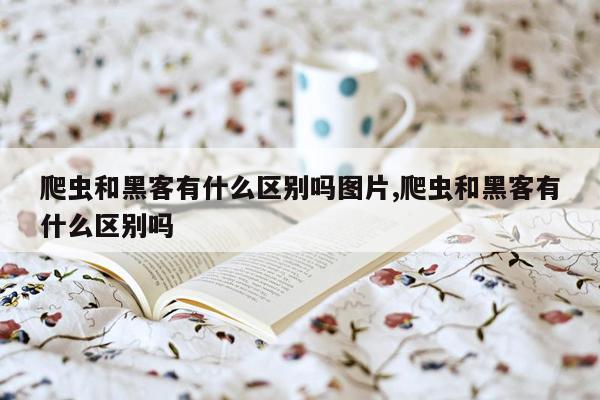 爬虫和黑客有什么区别吗图片,爬虫和黑客有什么区别吗